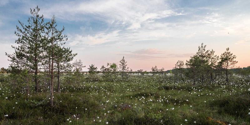 恩尼斯钣金17：精密金属加工与定制化解决方案的卓越典范