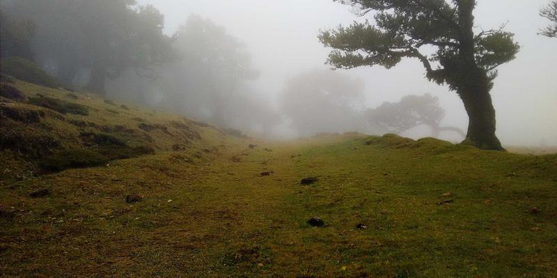 恩尼斯钣金教程：从精密钣金到定制金属加工的全流程解析