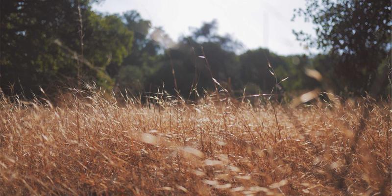 恩尼斯钣金：以严苛质量追溯体系，铸就航空航天定制金属零部件的零缺陷承诺