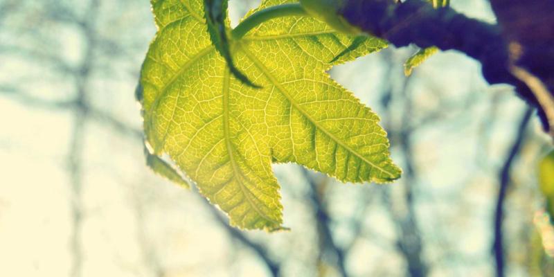 恩尼斯钣金：精密钣金加工如何借力智能化与自动化实现质效飞跃