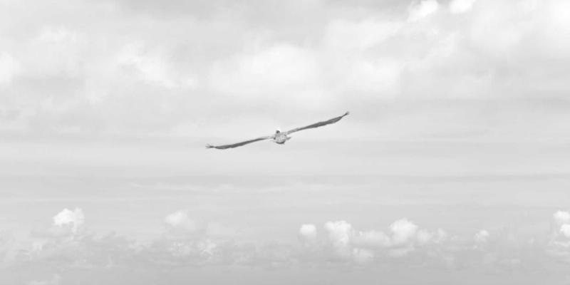 精密钣金制造新高度：恩尼斯如何通过先进表面处理工艺提升金属制品的耐腐蚀性与美观度